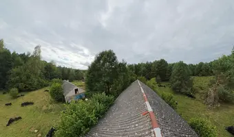 OPUSZCZONE GOSPODARSTWO W LESIE