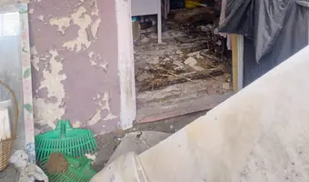 Opuszczony dom - zdjęcie 4/4