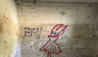 Opuszczone budynki szpitala psychiatrycznego srebrniki, Gdańsk