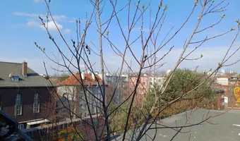 Opuszczony szpital Ginekologiczny
