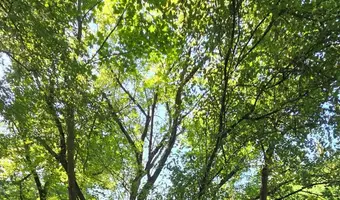 Cmentarzysko pojazdów, Karolew