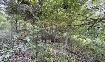 Opuszczona studnia w lesie