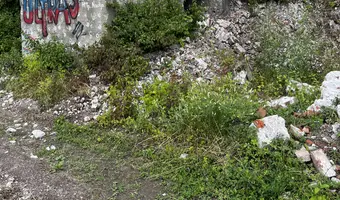 Fabryka cementu, Lubin