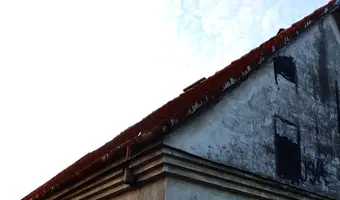 Zarośnięty dom