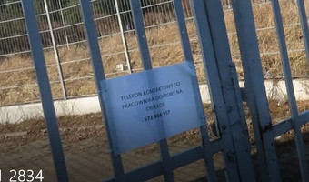 Galeria handlowa real/ auchan