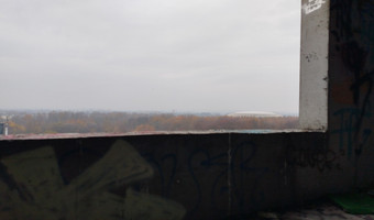 Czyżyński szkieletor