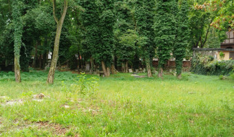 Cmentarz żydowski