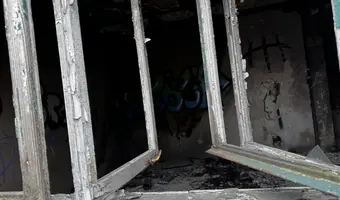 Zarośnięty dom - zdjęcie 2/4