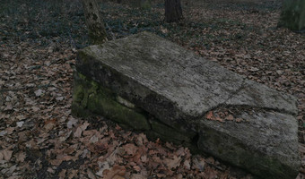 Zabytkowy cmentarz z przełomu x i x- x x wieku