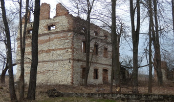 Ruiny Młynu, Przyłęk,