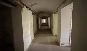 Pałac z  XIX-wieku., Dreżewo