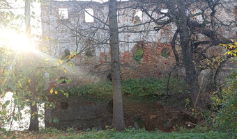 Ruiny Zamku w Pankowie,