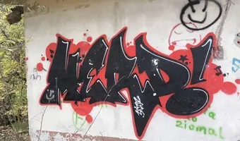 Spalarnia padłych zwierząt , Sikórz k/Płocka