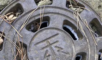 Szkółka roślin ozdobnych - zdjęcie 3/4