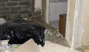 Gołębiarnia ( megrez) gdańsk