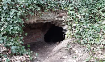 Ruiny fortu ćwiczegnego, Szczecin