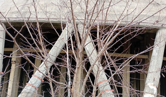 Elektrociepłownia e c-2