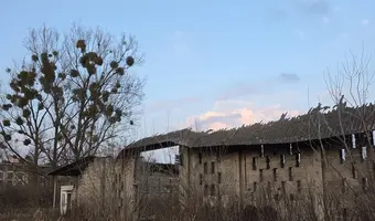 Stodoła SGGW