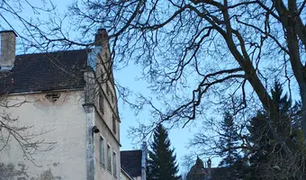 Pałac w Iglicach