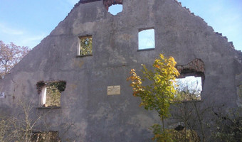 Willa Włoska (ruina), Legnica,