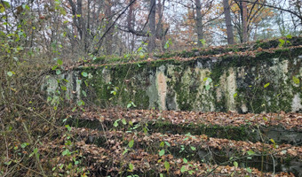 Fort v i i cybulice, cybulice