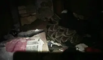 Kamienica z kupą wyposażenia