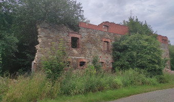 Pałac kościelniki górne
