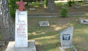 Cmentarz wojenny/cmentarz wojskowy, okolice Bornego Sulinowa,