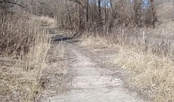 Stary zapomniany teren retencyjny - zdjęcie 2/4