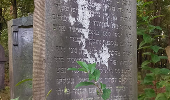 Opuszczony cmentarz Żydowski , niezdrowice
