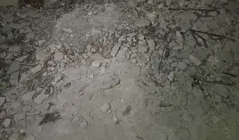 Zakład dla Nerwowo i Psychicznie Chorych Żydów - Zofiówka