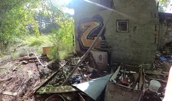 Opuszczony dom na skraju lasu