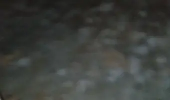 Osiedle Oficerów Wojska Polskiego