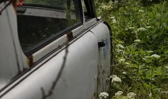 Porzucony trabant - zdjęcie 3/4