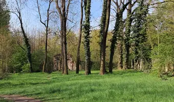 Ruiny kościoła św. jana ewangelisty - zdjęcie 2/4