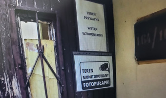 Kolonie w justynowie, justynów