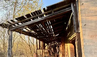 Cegielnia ,, gotyka'', czaple wolne - zdjęcie 3/4