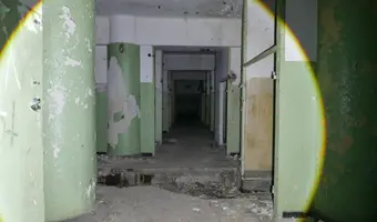 Radiówek, wiązowna - photo 2/4