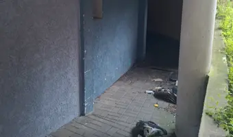 Opuszczona szkoła wyższa - zdjęcie 5/9