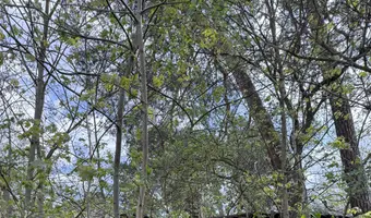 Opuszczony dom - zdjęcie 2/2