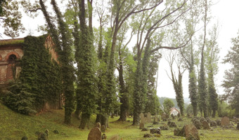 Stary cmentarz żydowski, Cieszyn,