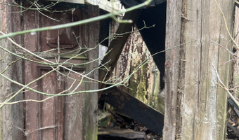 Ruiny domu i gospodarstwa