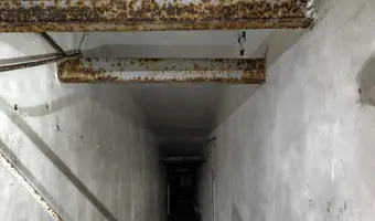 Radiówek, Wiązowna