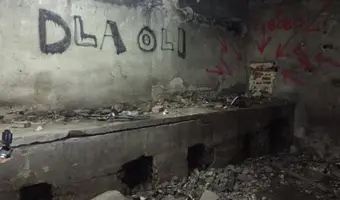 Zakład dla Nerwowo i Psychicznie Chorych Żydów - Zofiówka