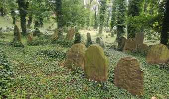 Stary cmentarz żydowski, cieszyn