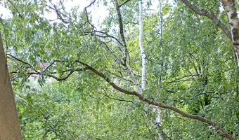 Opuszczona Hurtownia Tytoniu, Łódź