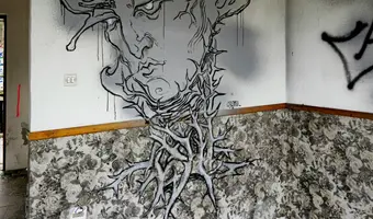 Opuszczony ośrodek wypoczynkowy miałkówek, miałkówek - zdjęcie 2/4