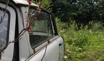Porzucony trabant - zdjęcie 2/4