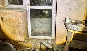 Mocno zarośnięty dom przy drodze