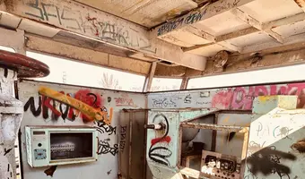 Pchacz łoś-k17 - zdjęcie 4/4